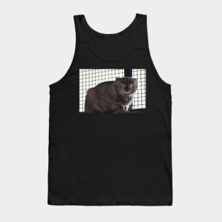 Angry Pallas Cat Tank Top